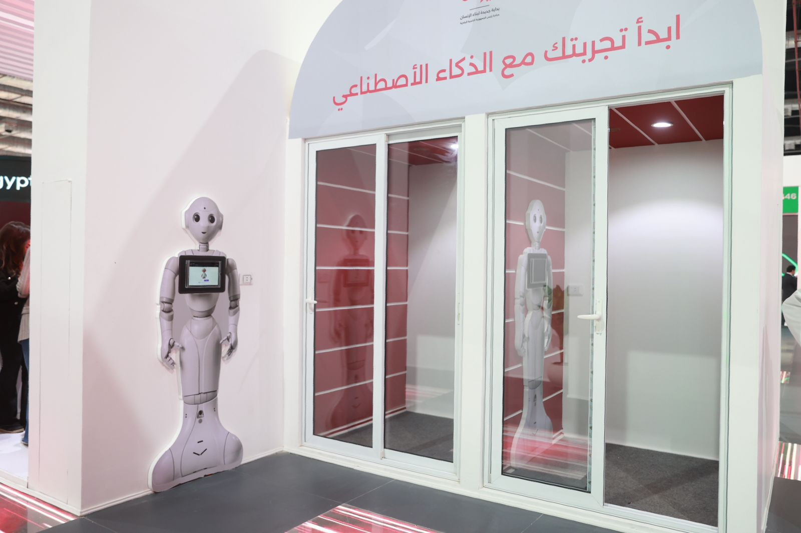 نموذج المحاكاة