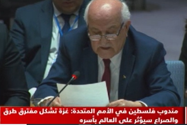 مندوب فلسطين بجلسة مجلس الأمن