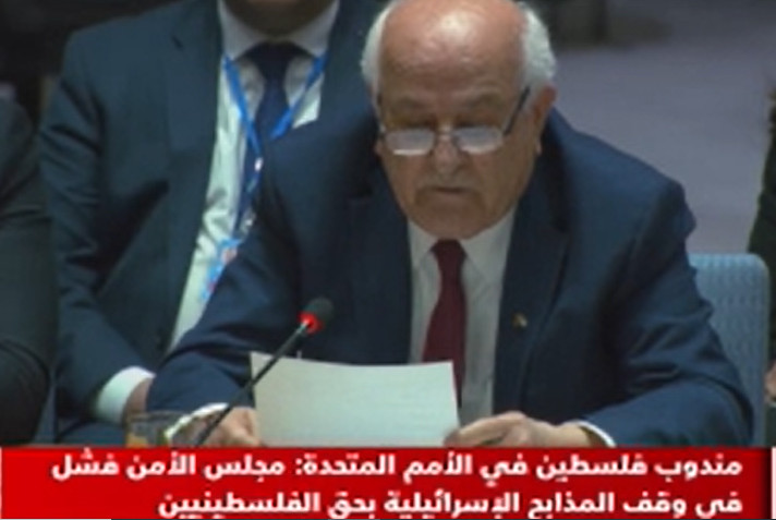 مندوب فلسطين بجلسة مجلس الأمن