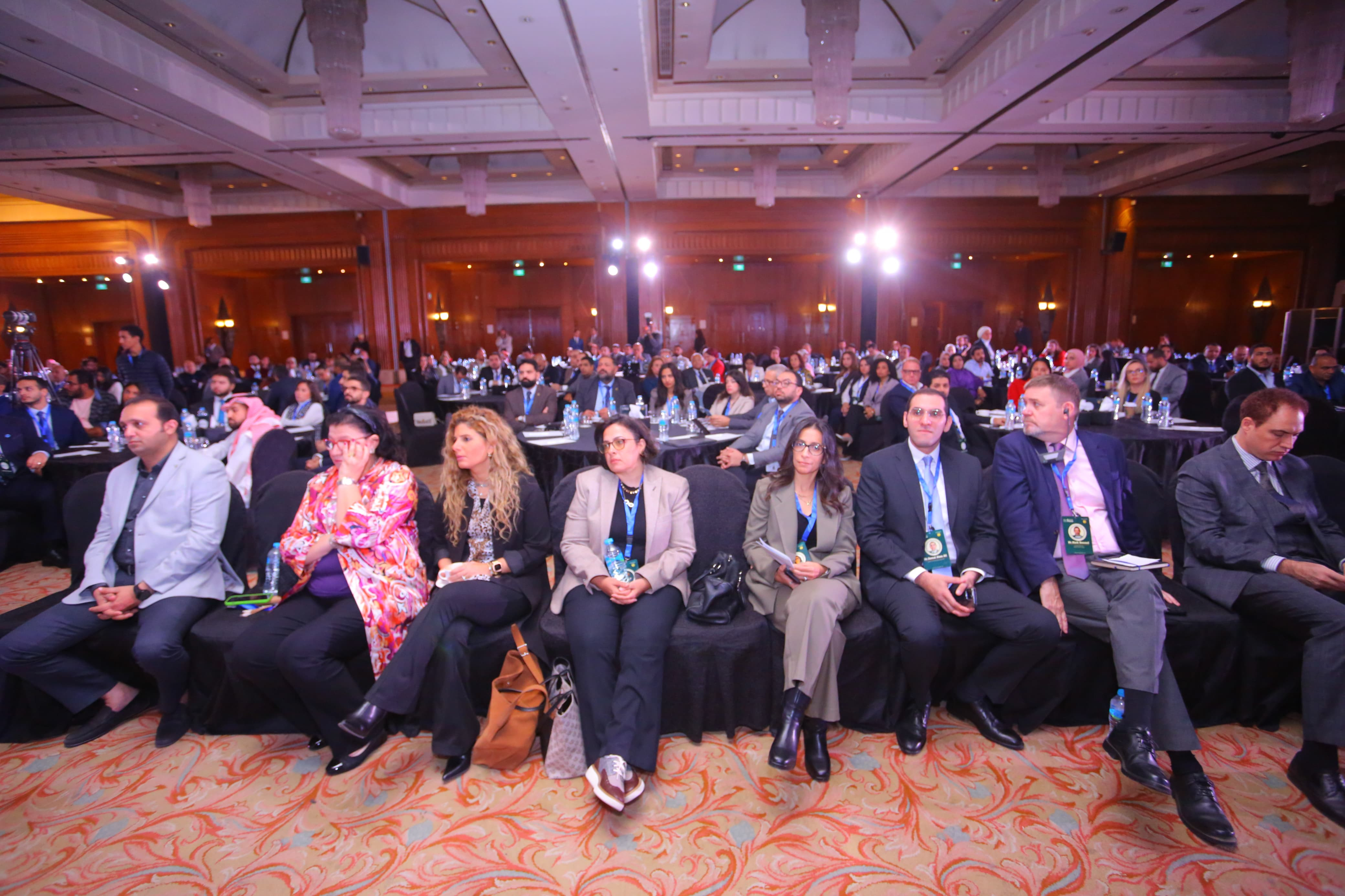 نائبة وزيرة التضامن