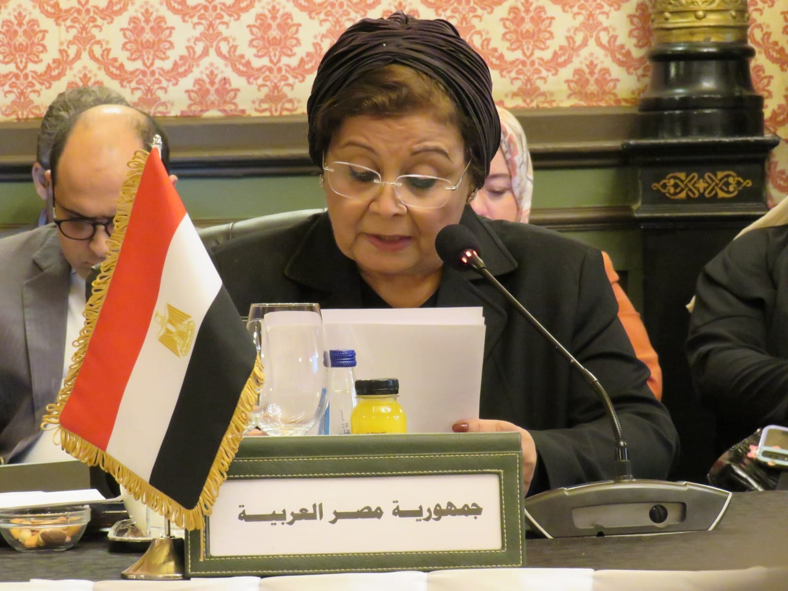 دكتورة عبلة الألفي