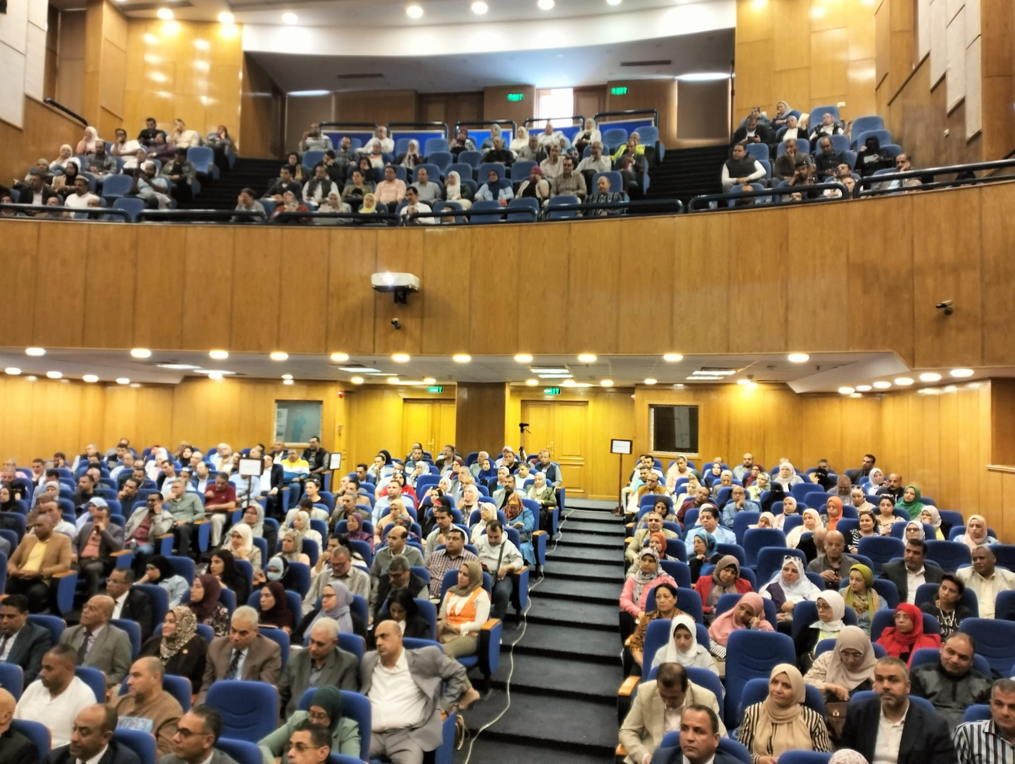 التنمية المحلية