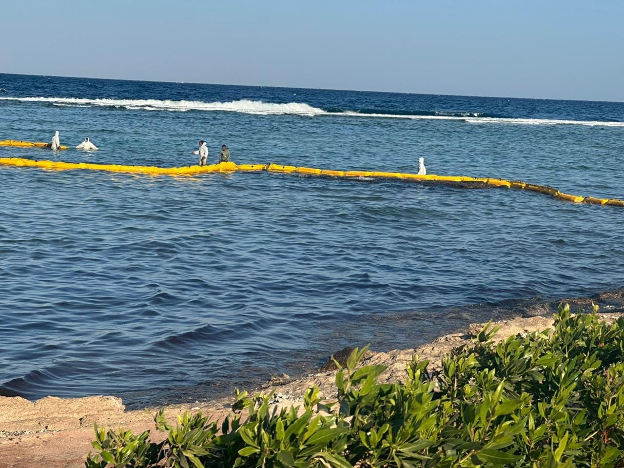 وزيرة البيئة