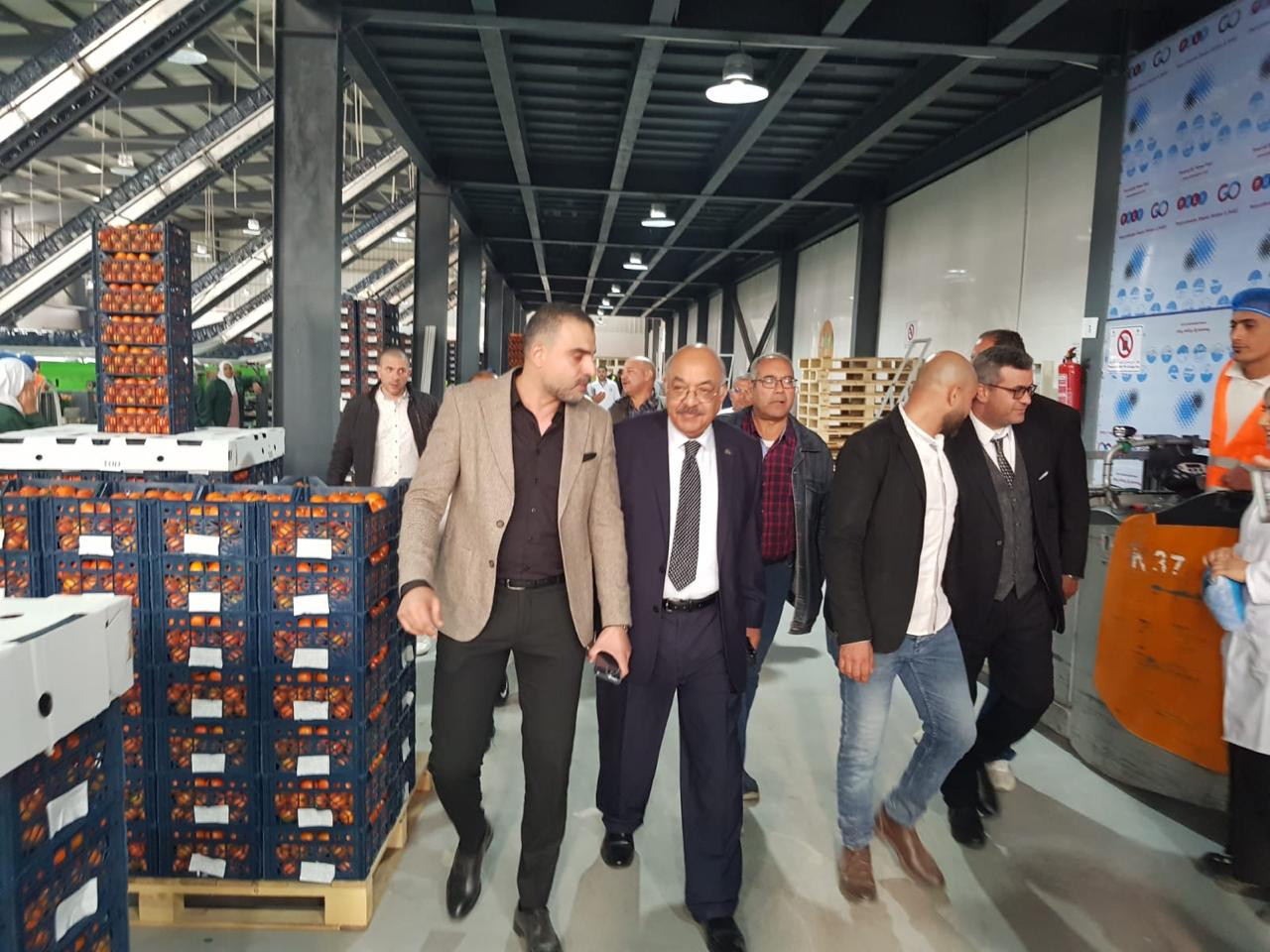 محطة فرز وتعبئة وتغليف للحاصلات البستانية