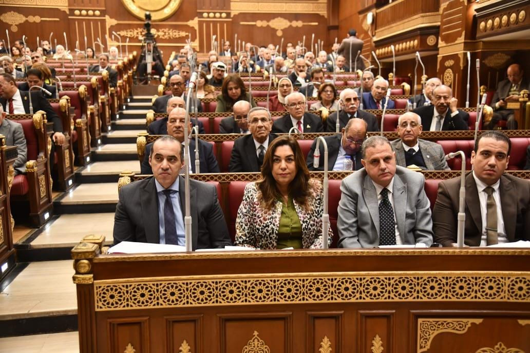 تنمية محلية