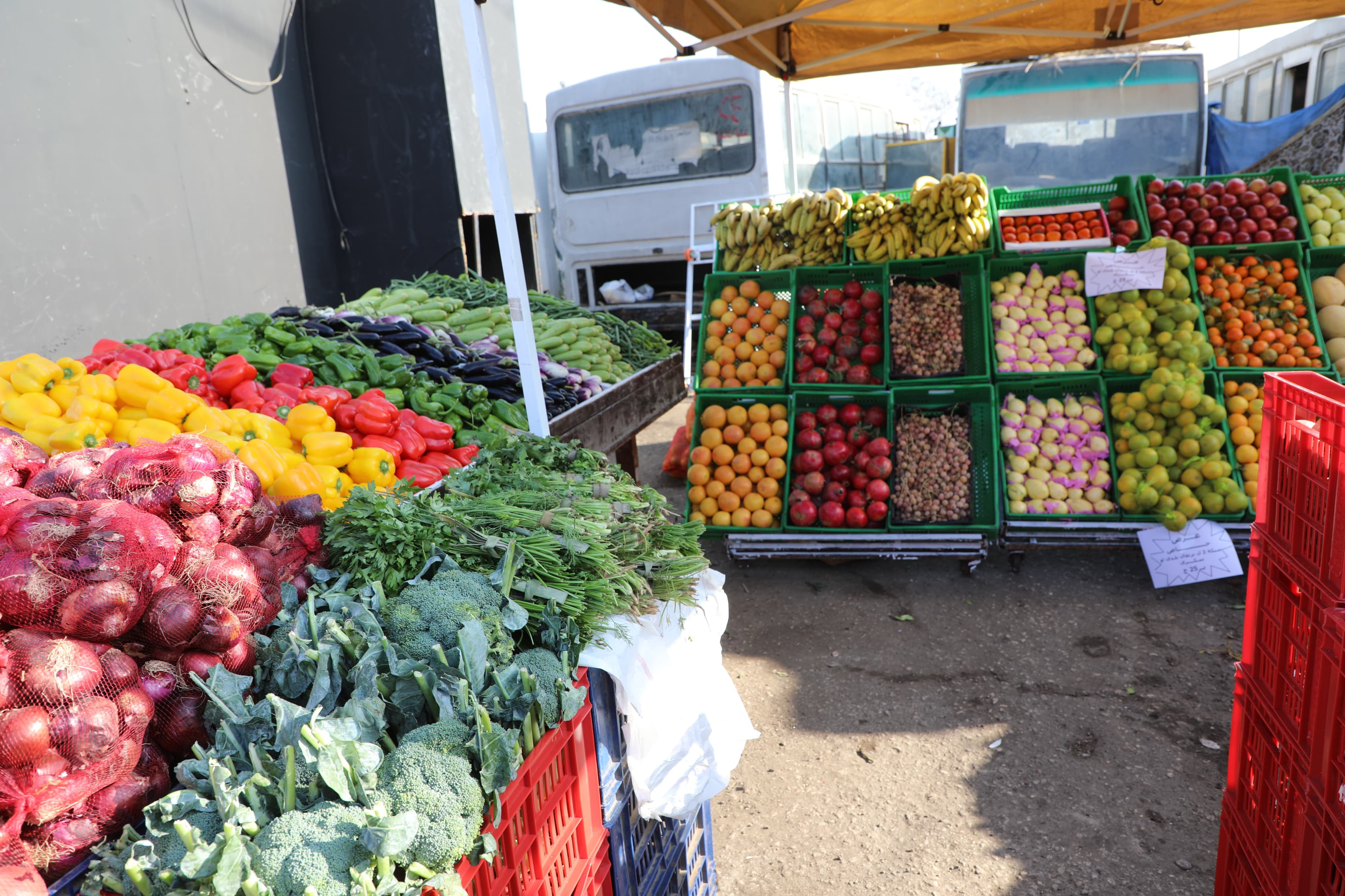 سوق اليوم الواحد