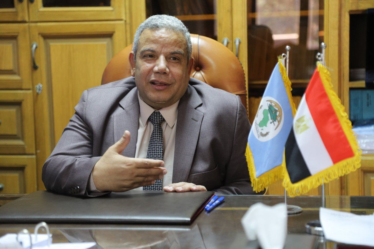جامعة القاهرة