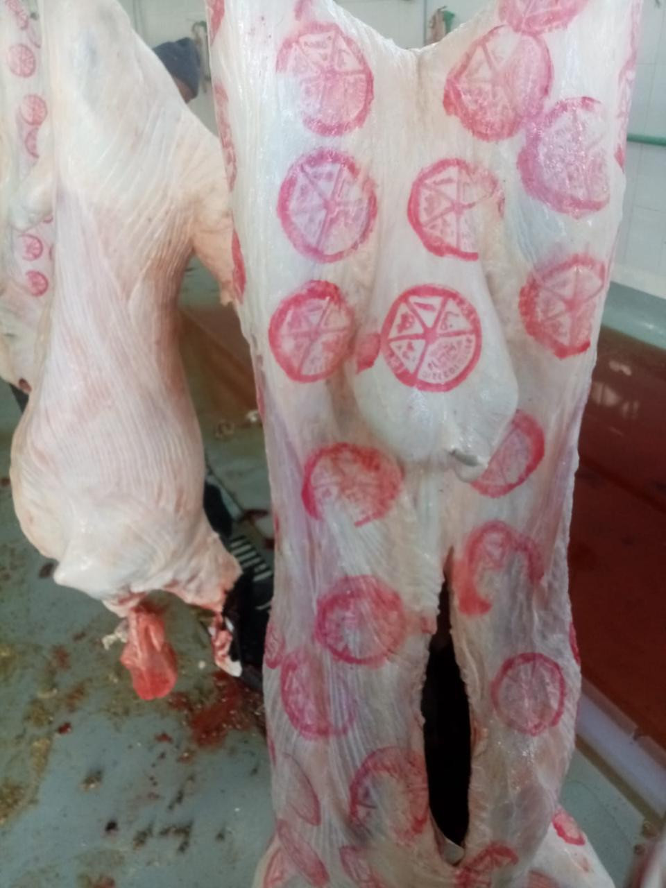 مجزر 15 مايو