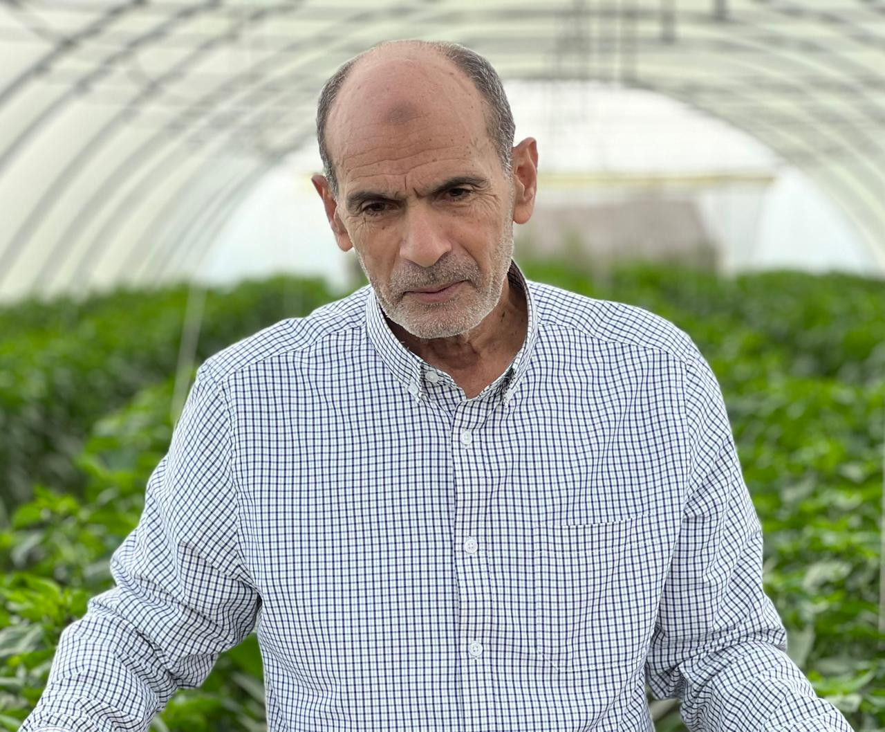 الدكتور المهدي إبراهيم متول