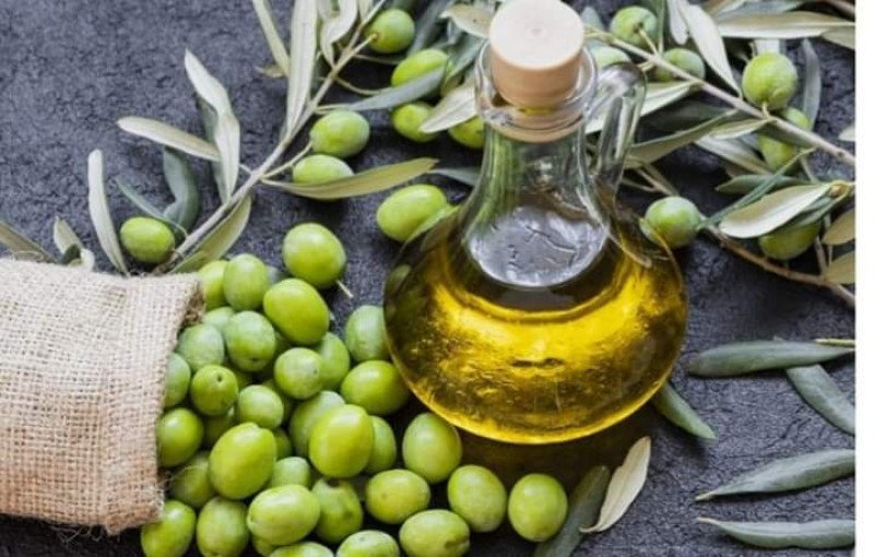 المهرجان المصرى للزيتون