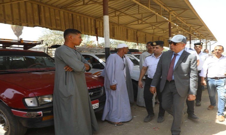 محافظ المنيا