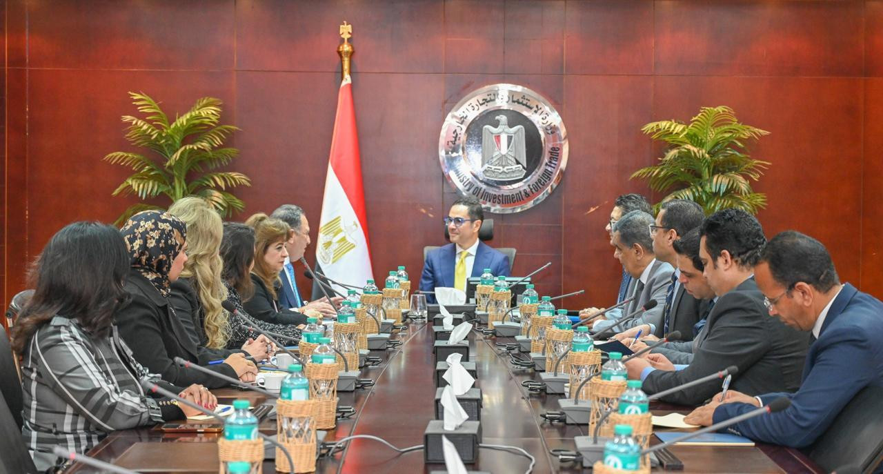 وزير الاستثمار