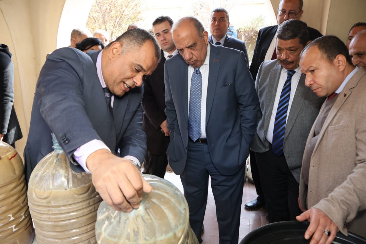 وزير الكهرباء