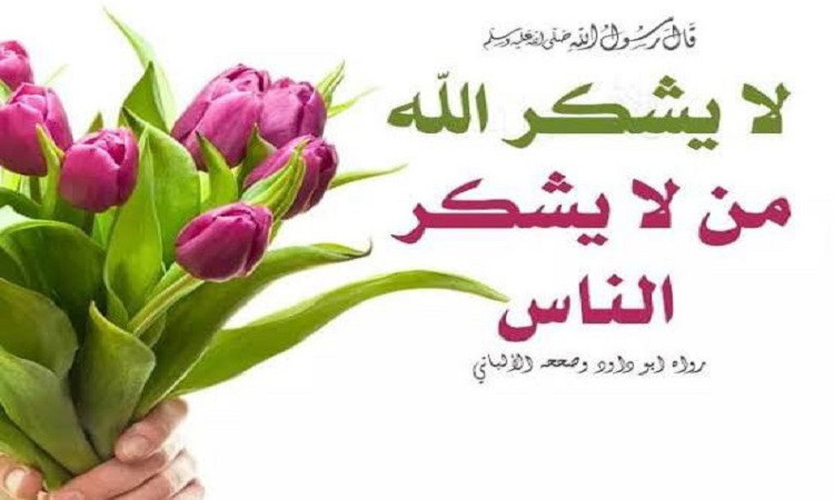 برنامج ( قطوف من حدائق الإيمان )