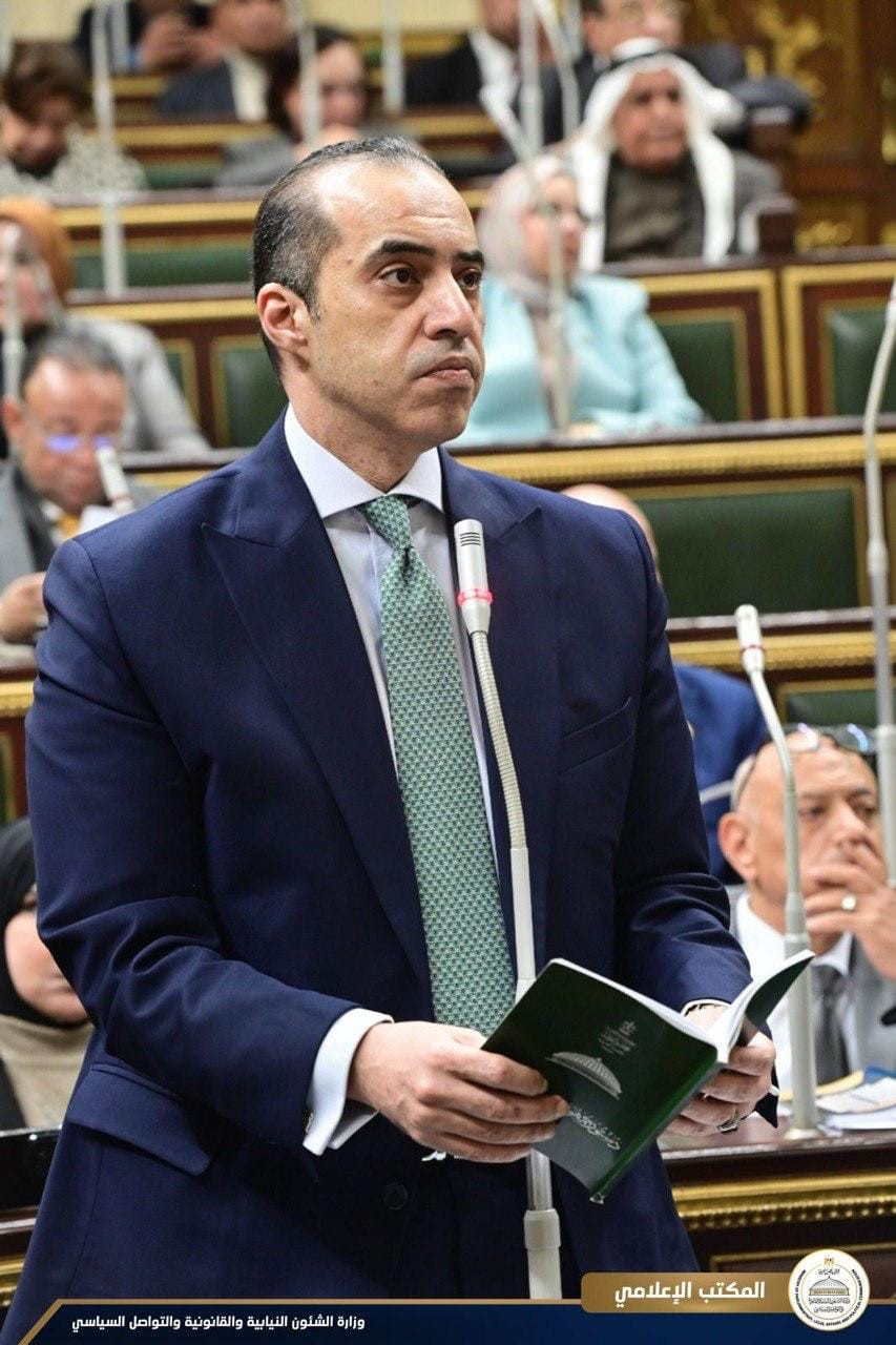 المستشار محمود فوزي