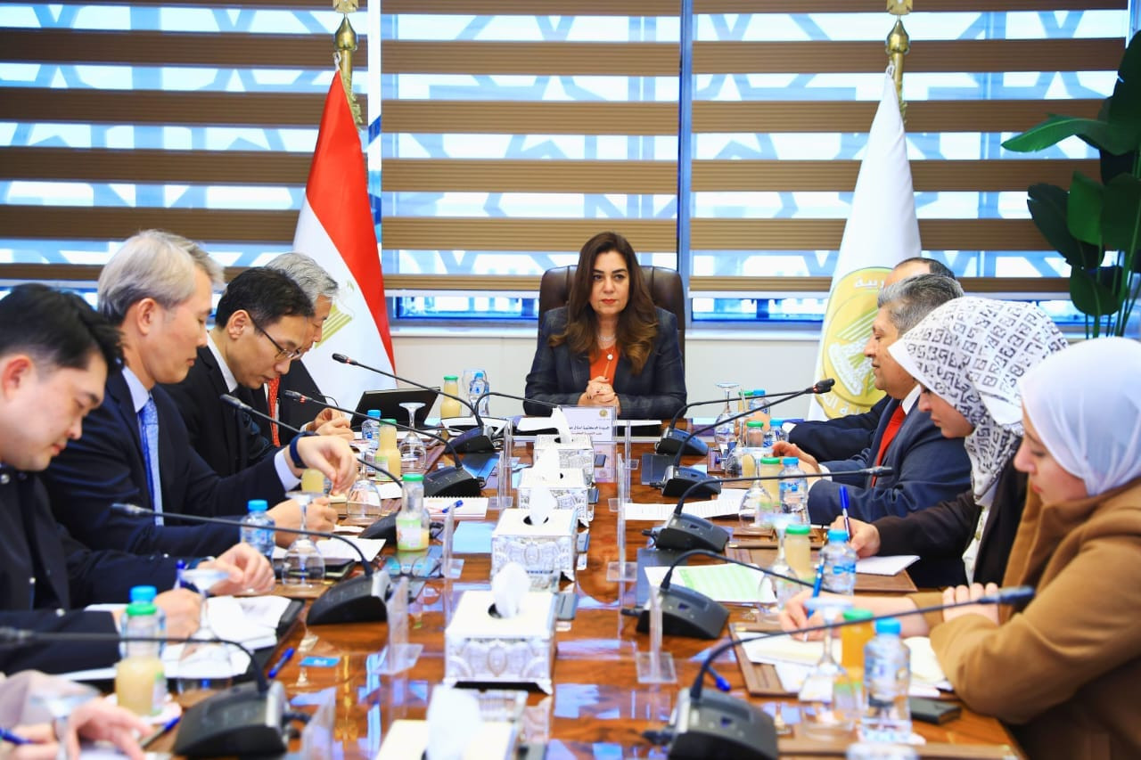 التنمية المحلية