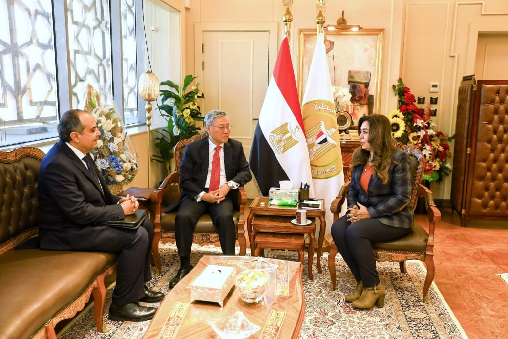 التنمية المحلية