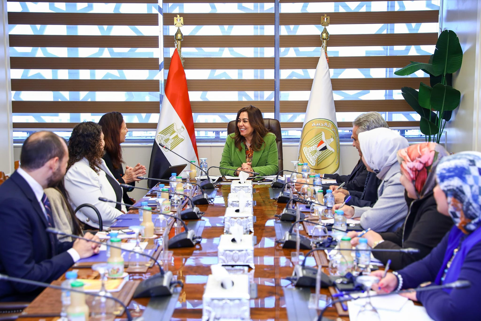 تنمية محلية