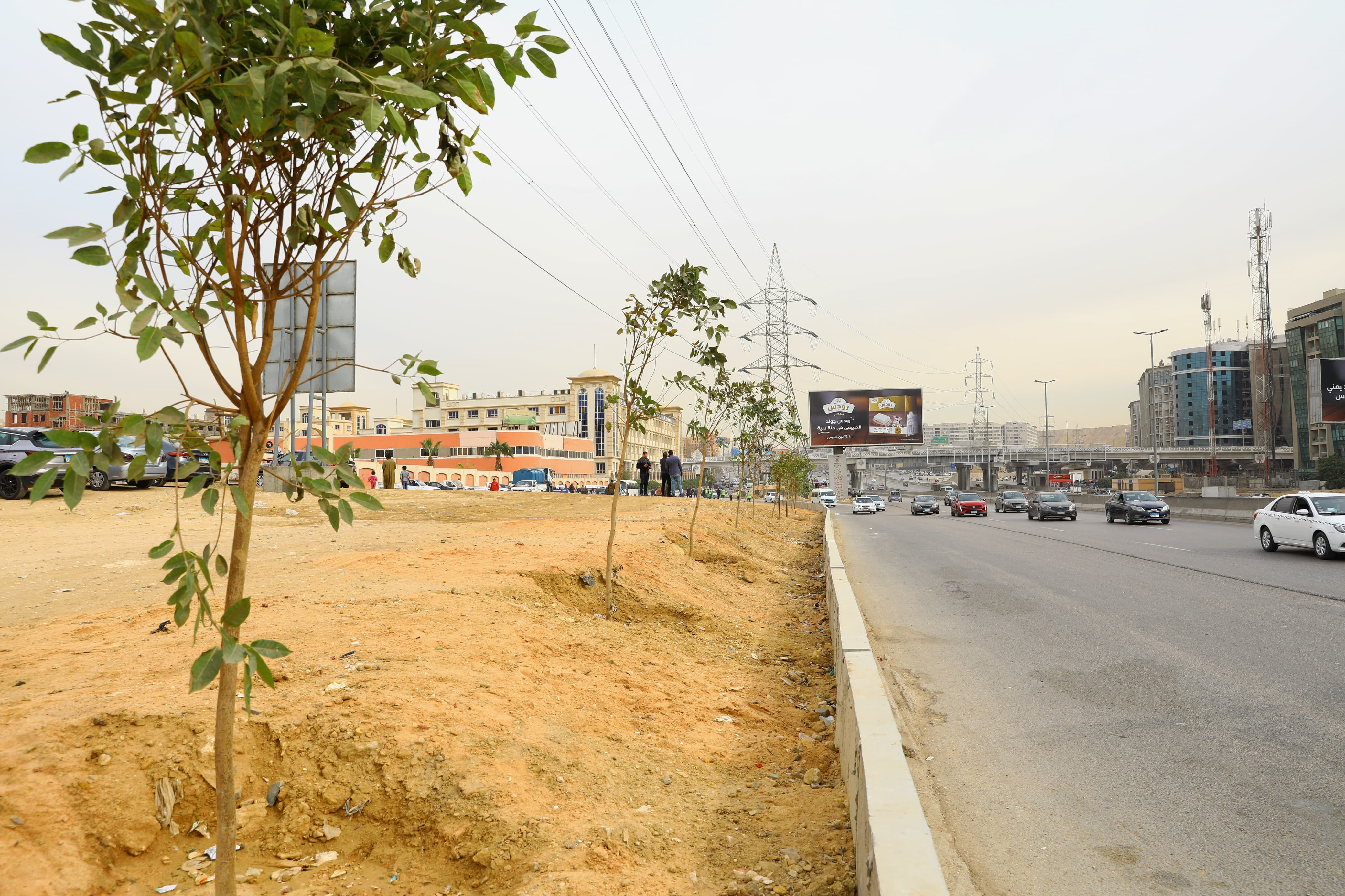 محافظ القاهرة