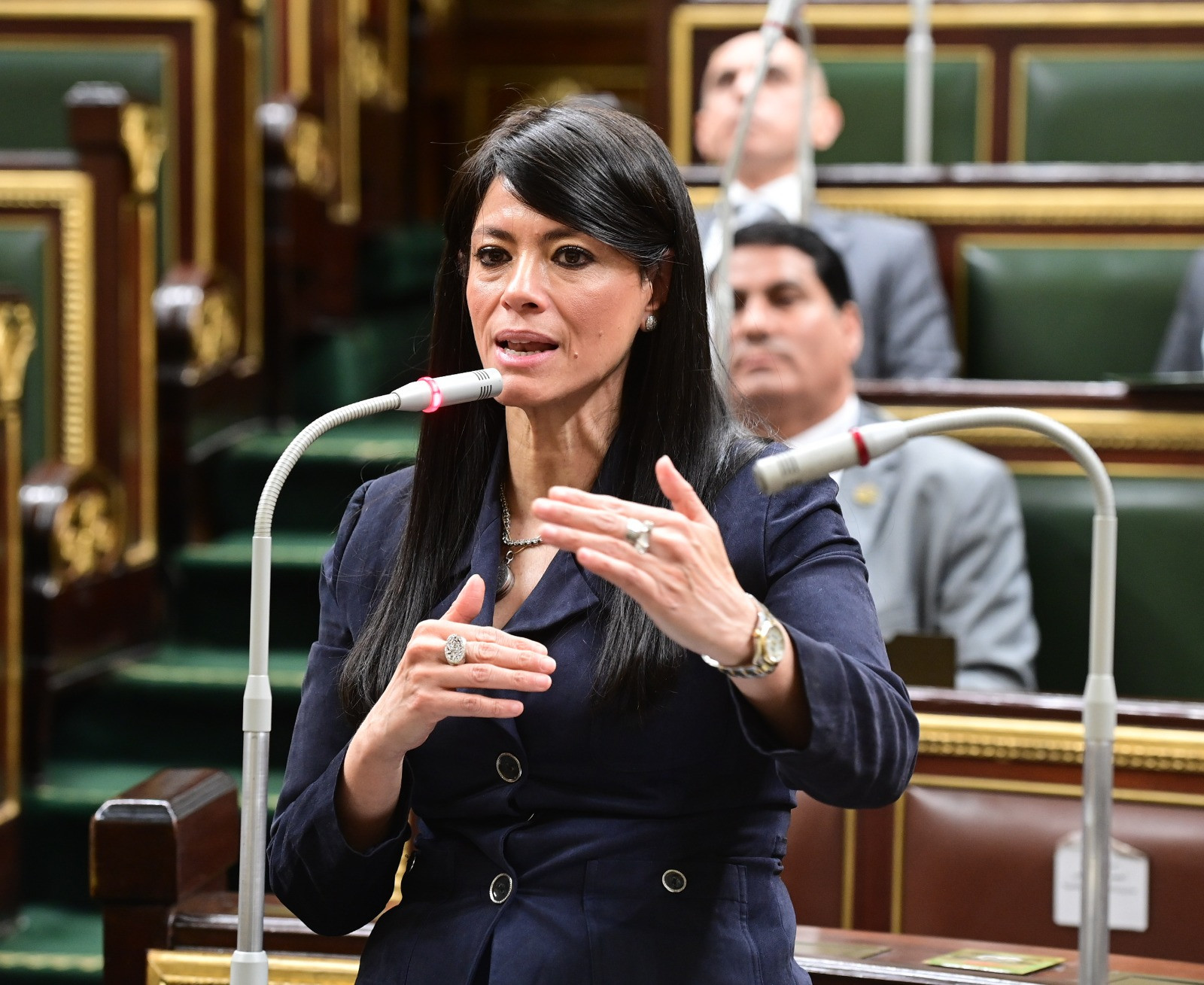 رانيا المشاط