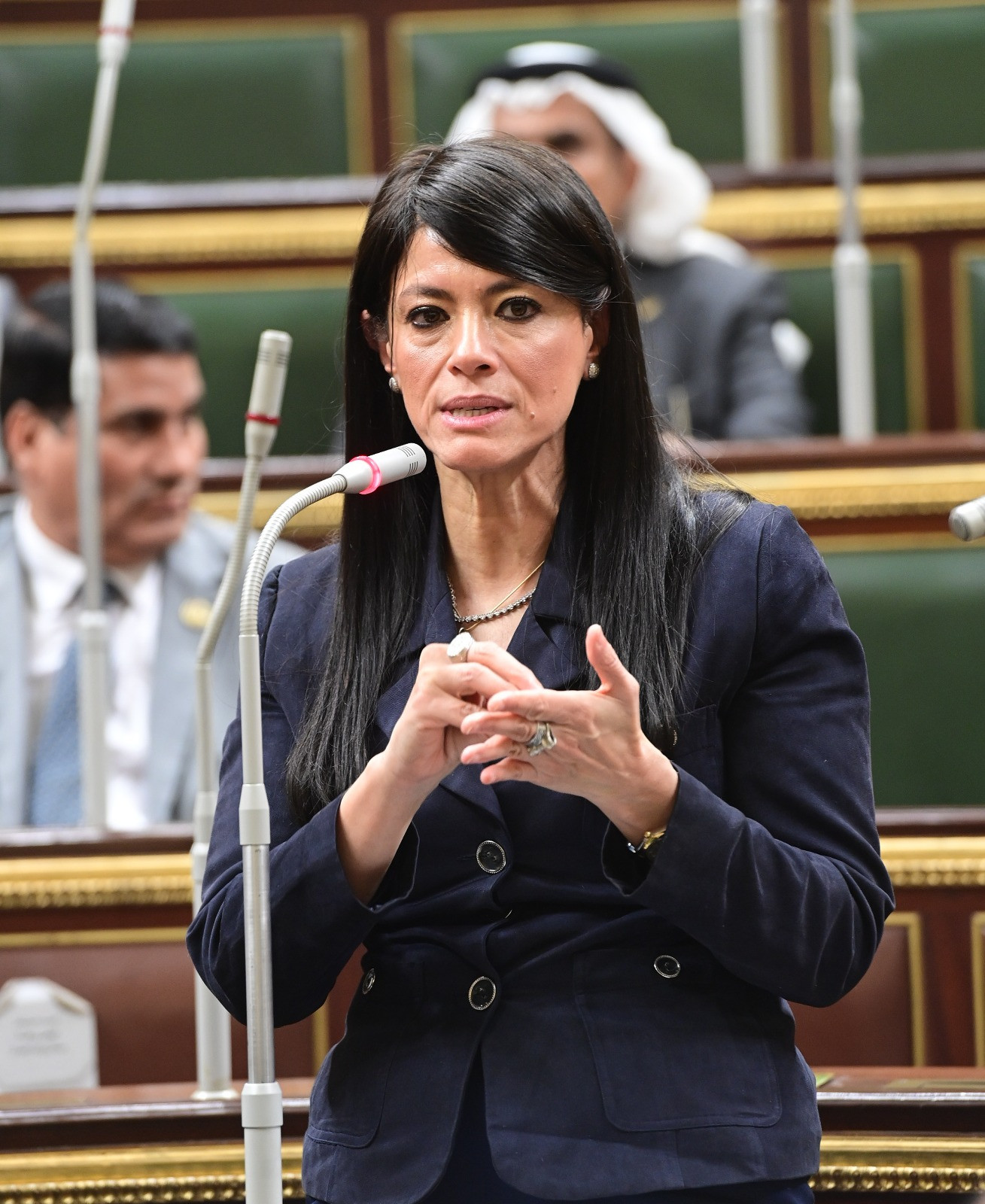 رانيا المشاط