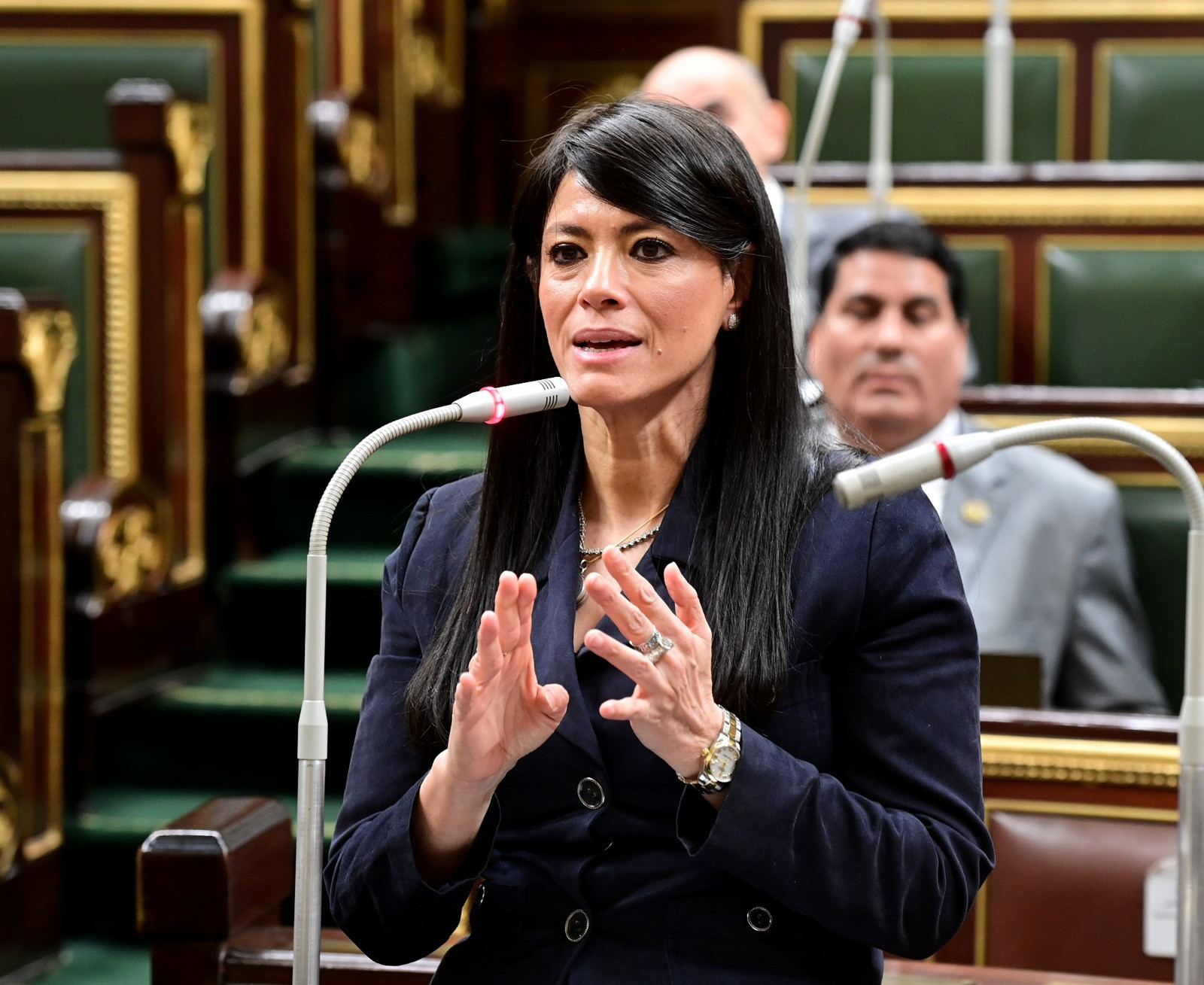 رانيا المشاط