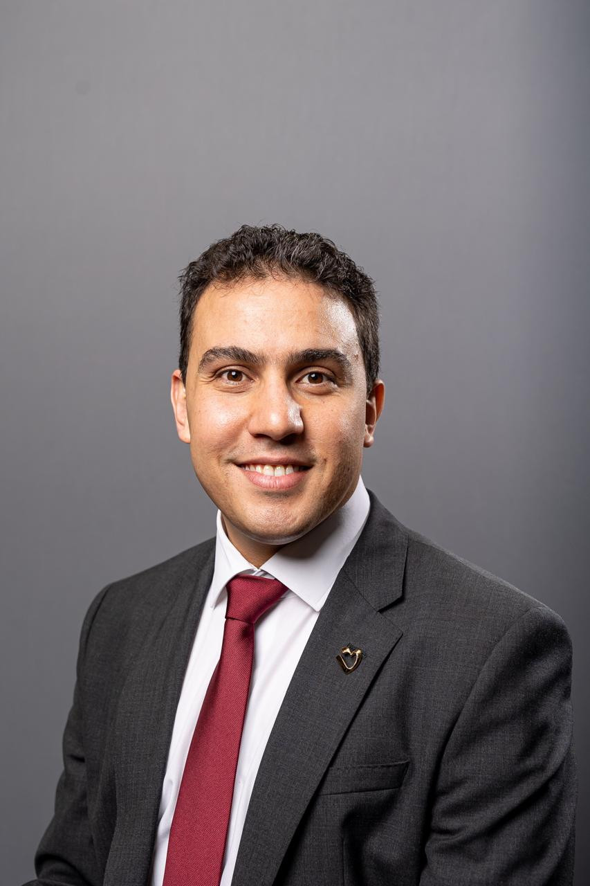 د.احمد السنهوري