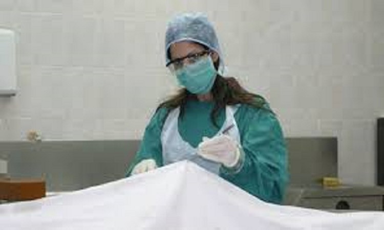 د. دينا شكري: الطب الشرعي يشهد حضورا قويا للمرأة