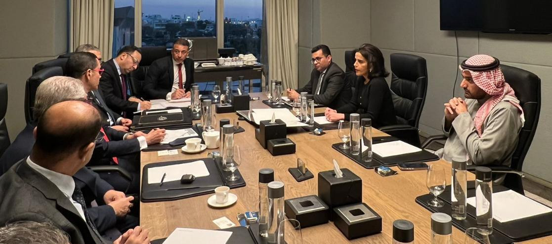 وزير الاستثمار