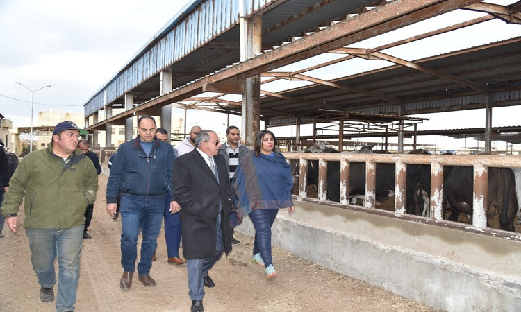 محافظ بورسعيد