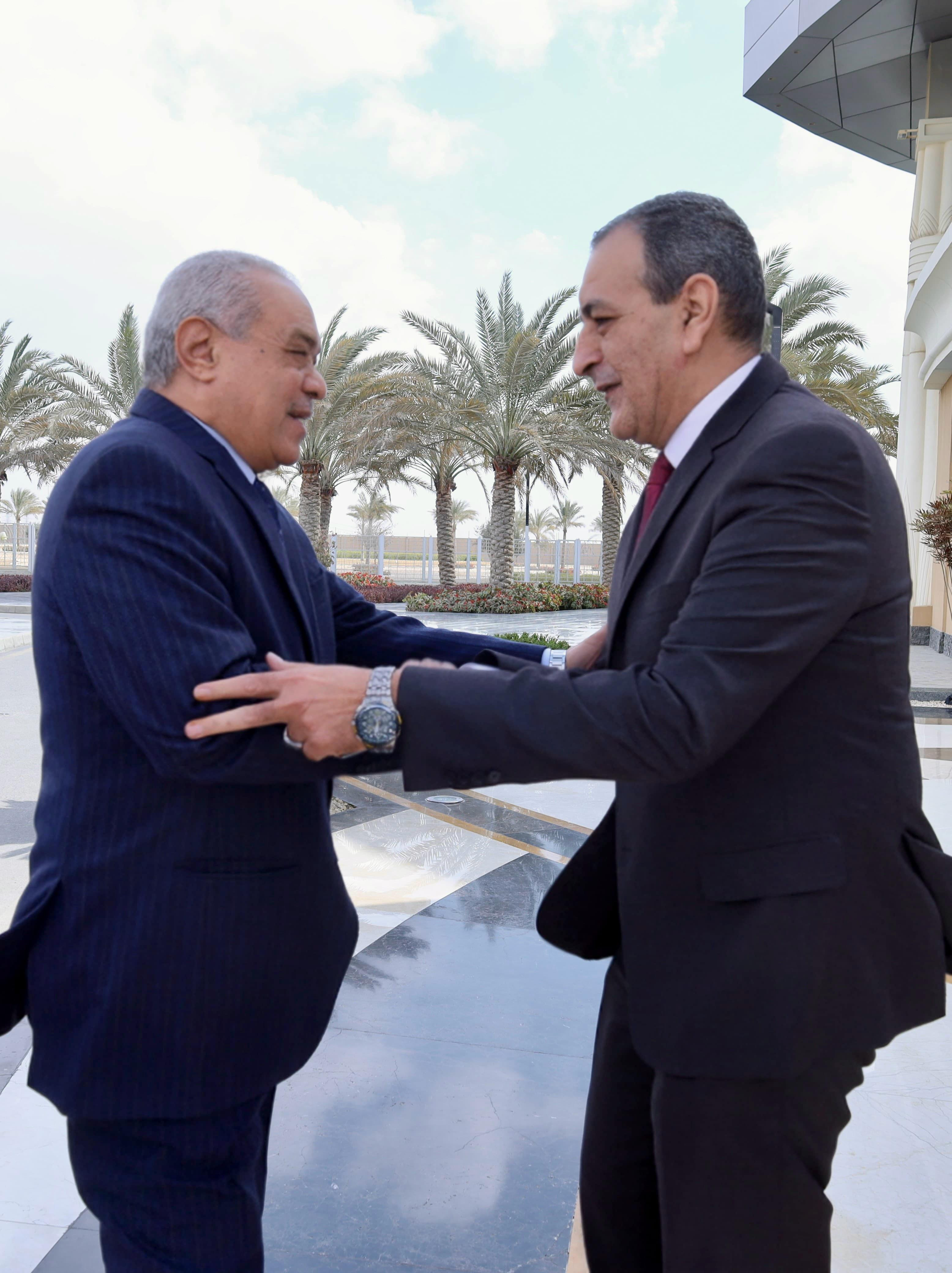 النيابة الادارية