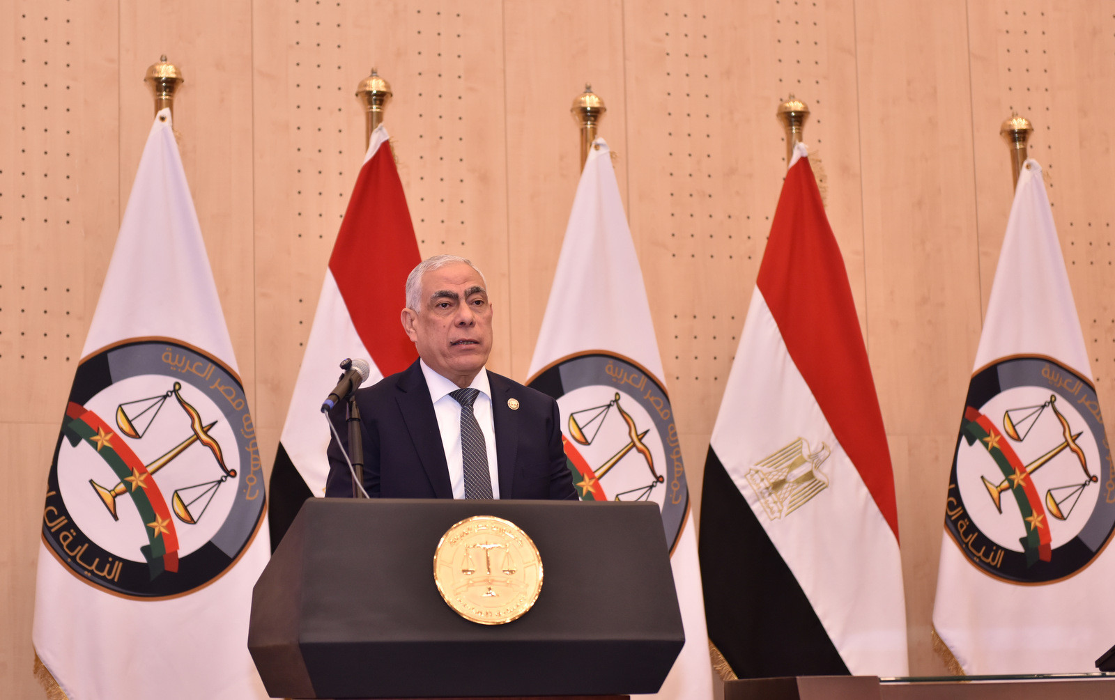 برنامج النيابة العامة