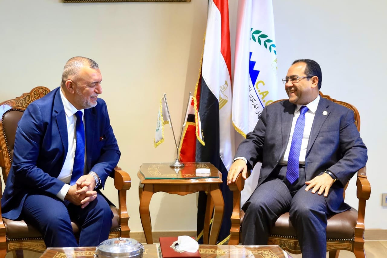 رئيس التنظيم والإدارة