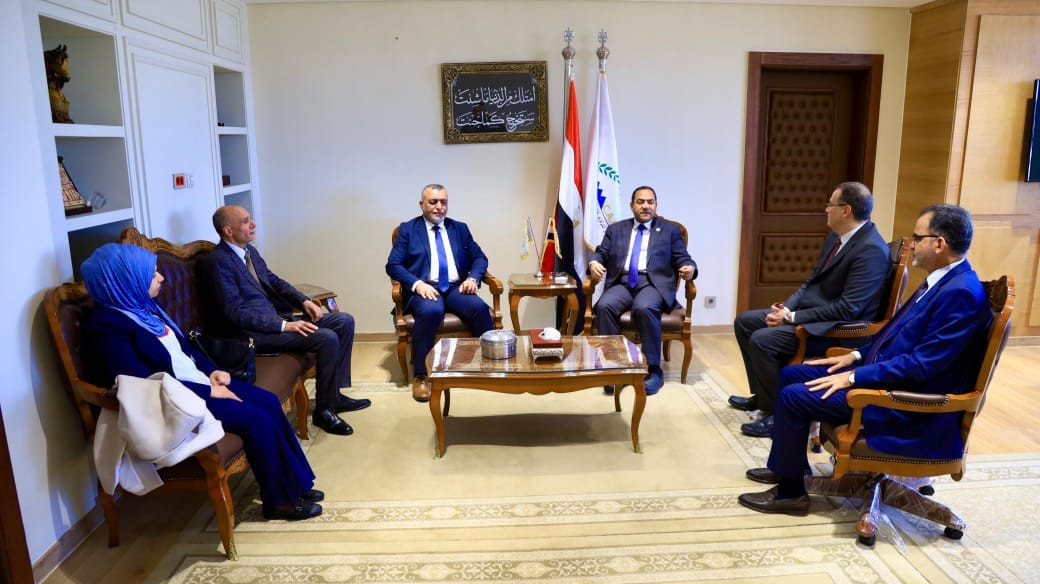 رئيس التنظيم والإدارة