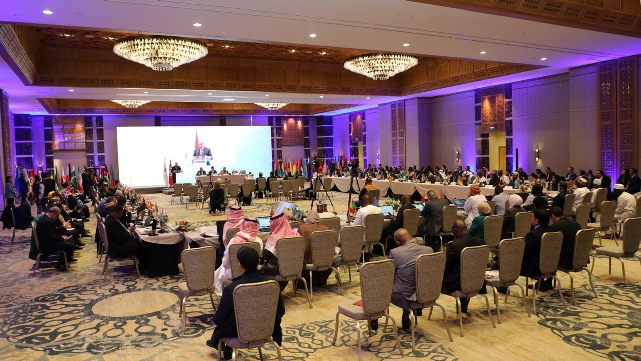 التعليم العالي