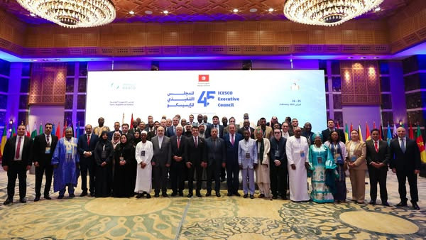 التعليم العالي