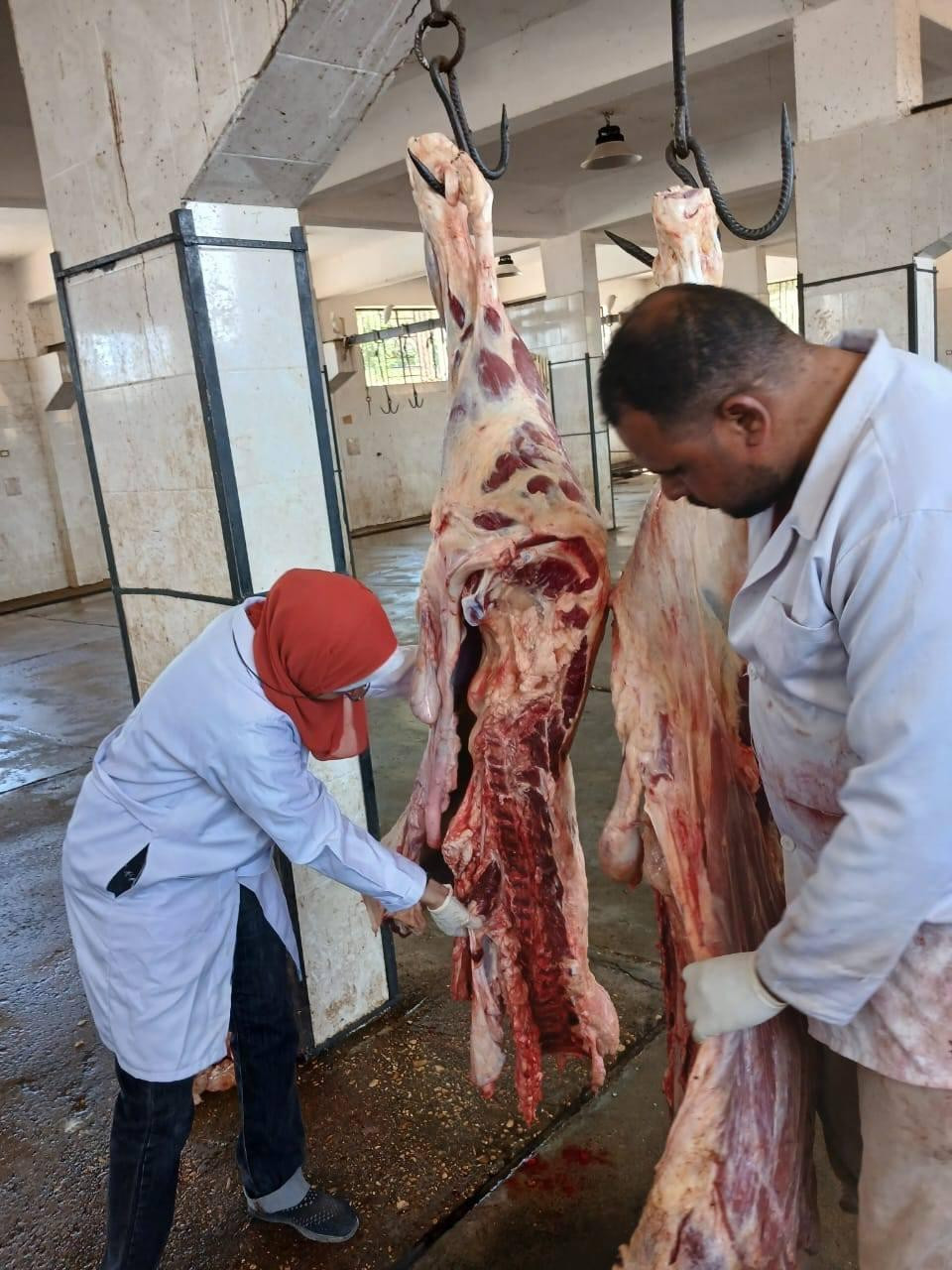 وزارة الزراعة