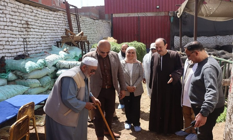 محافظ القليوبية يدشن الحملة القومية الأولى لتحصين الماشية