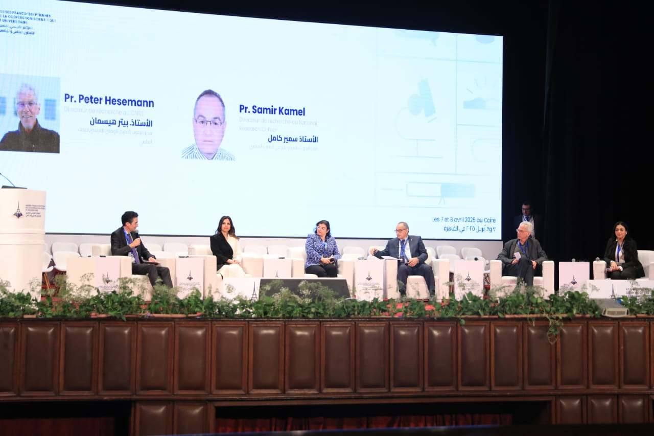 التعليم العالي