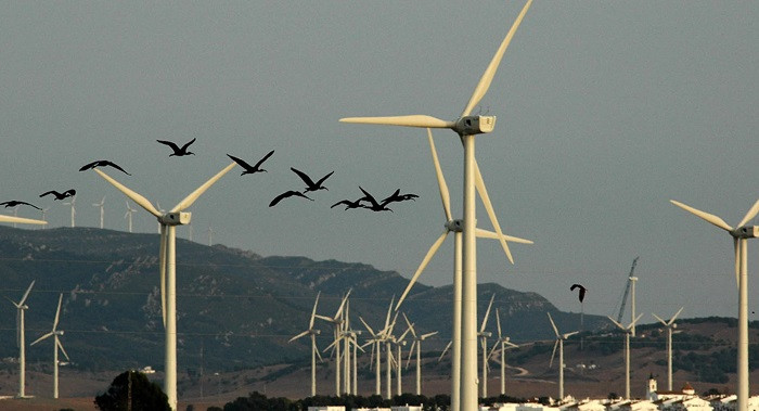 توربينة رياح