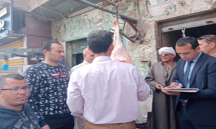 حملات تفتيشية