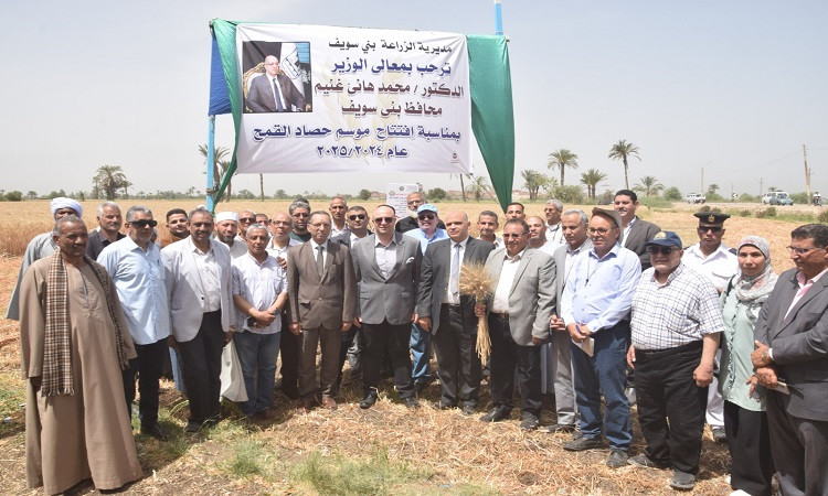 محافظ بني سويف يفتتح موسم حصاد القمح