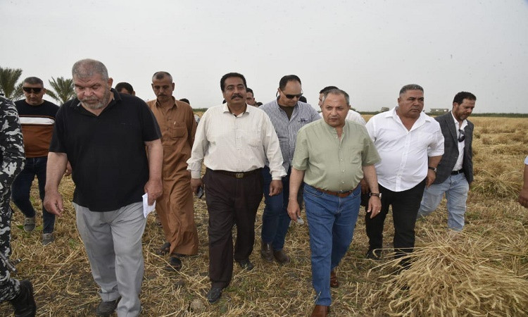 محافظ بورسعيد: إجمالي المساحة المنزرعة بالقمح هذا العام بلغت ٩٥٣٥ فدان