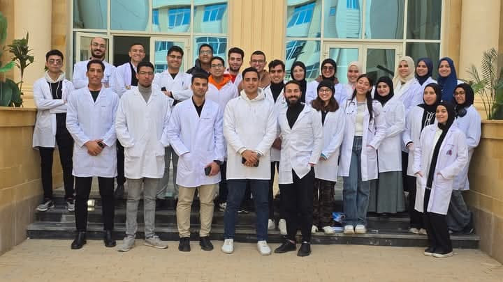 التعليم العالي