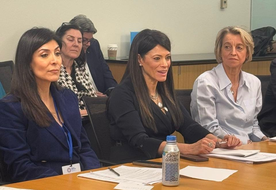 رانيا المشاط