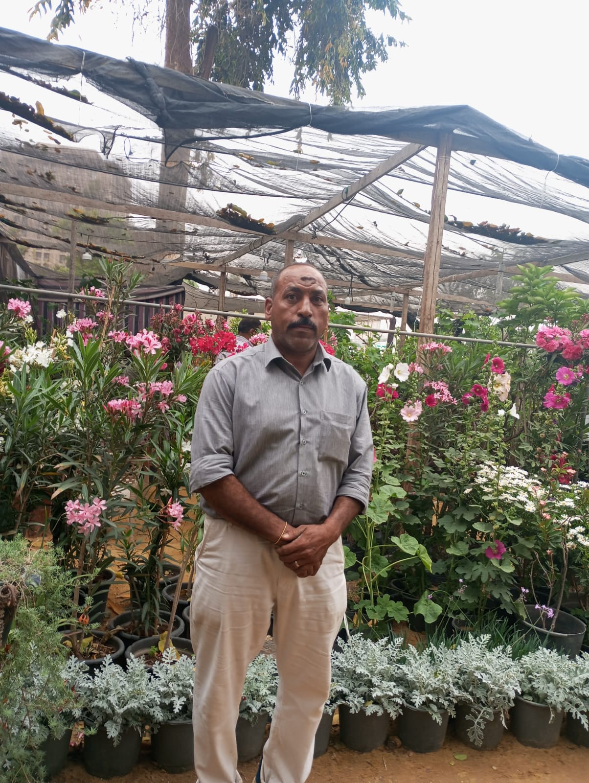 معرض زهور الربيع