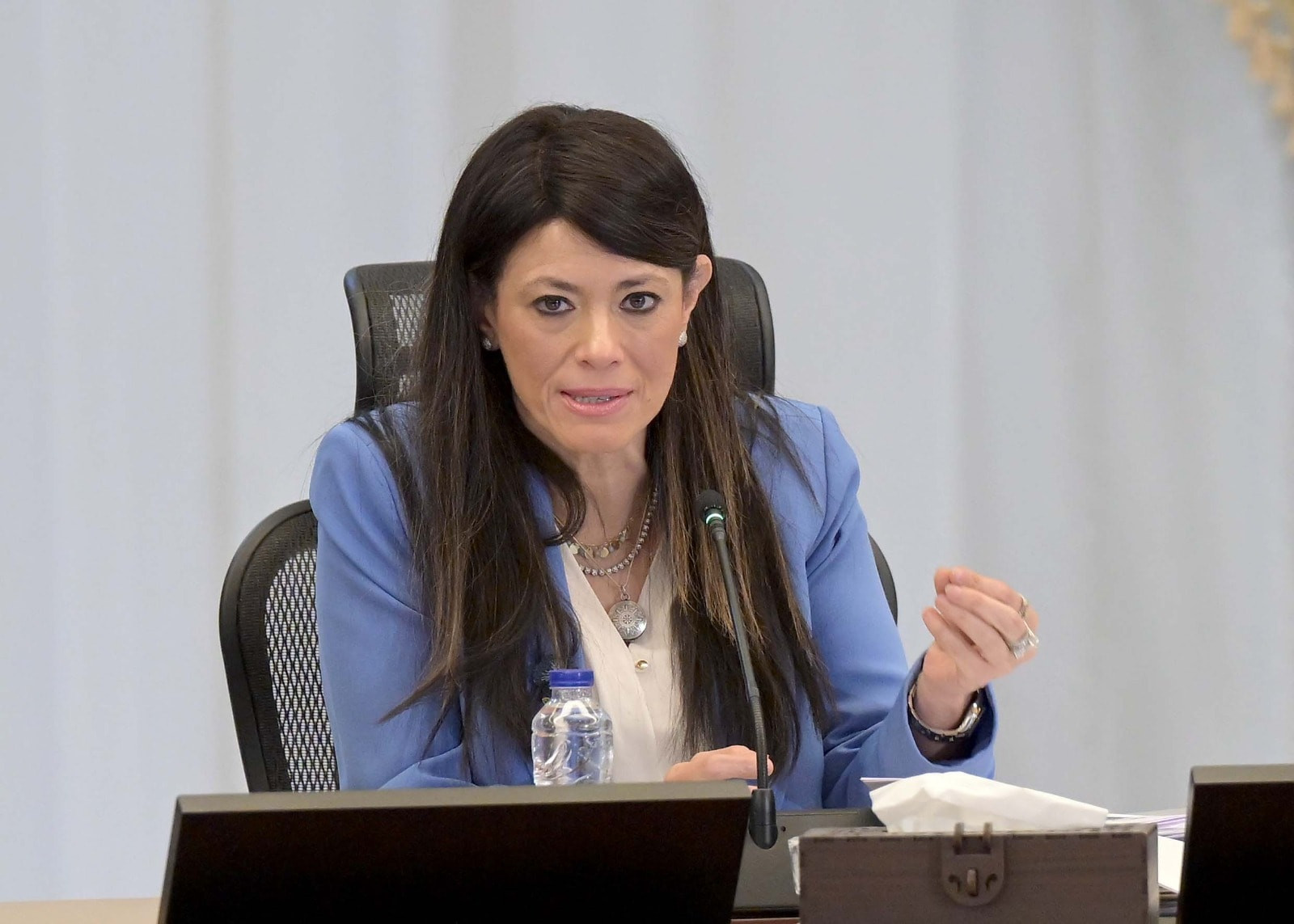 رئيس الوزراء