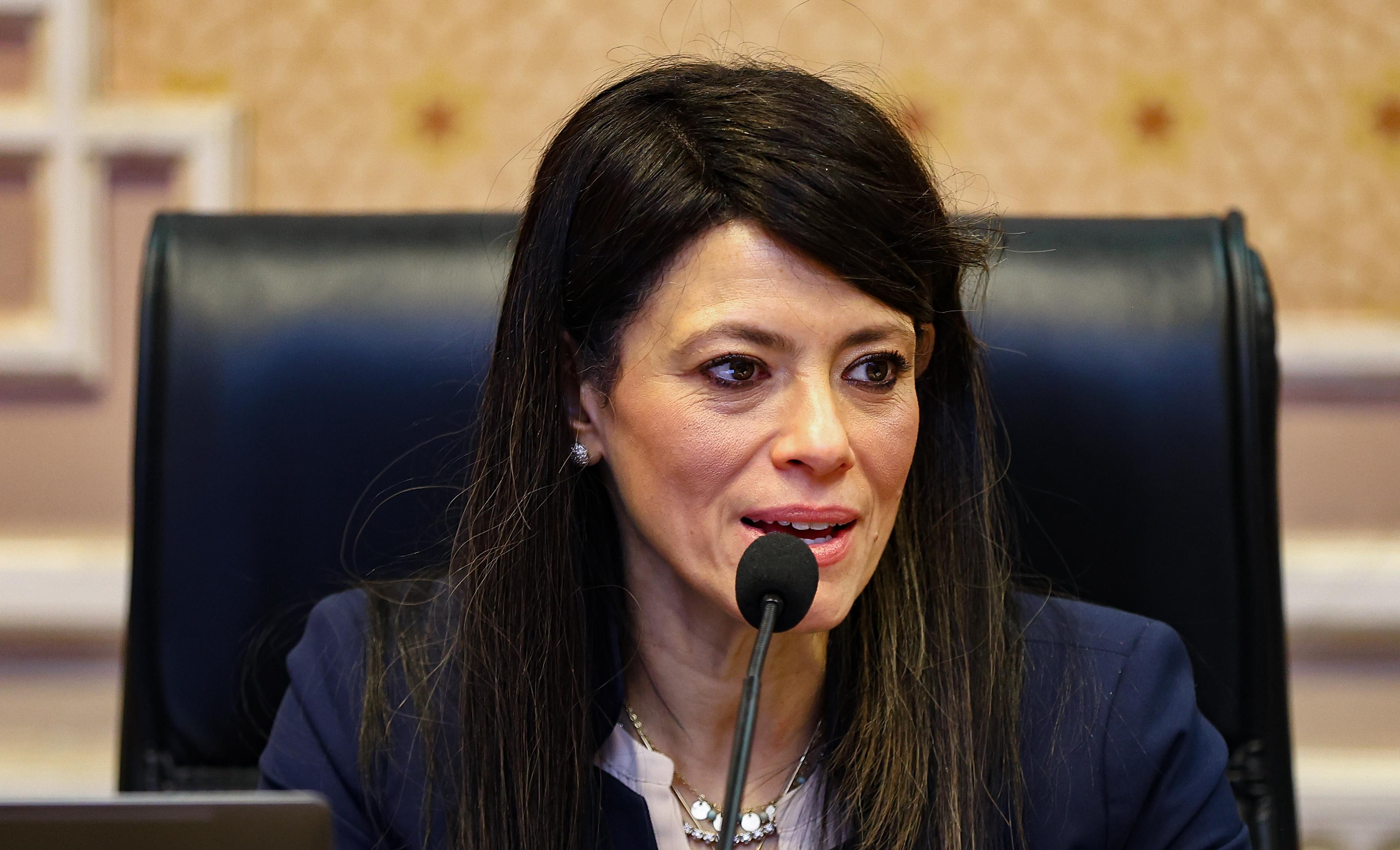 رانيا المشاط