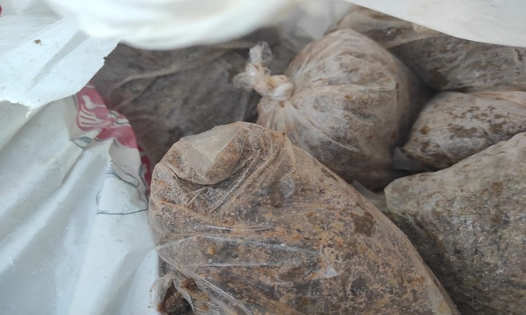 محافظ المنوفية: ضبط ما يقرب من 3 طن أسماك ولحوم مجهولة المصدر