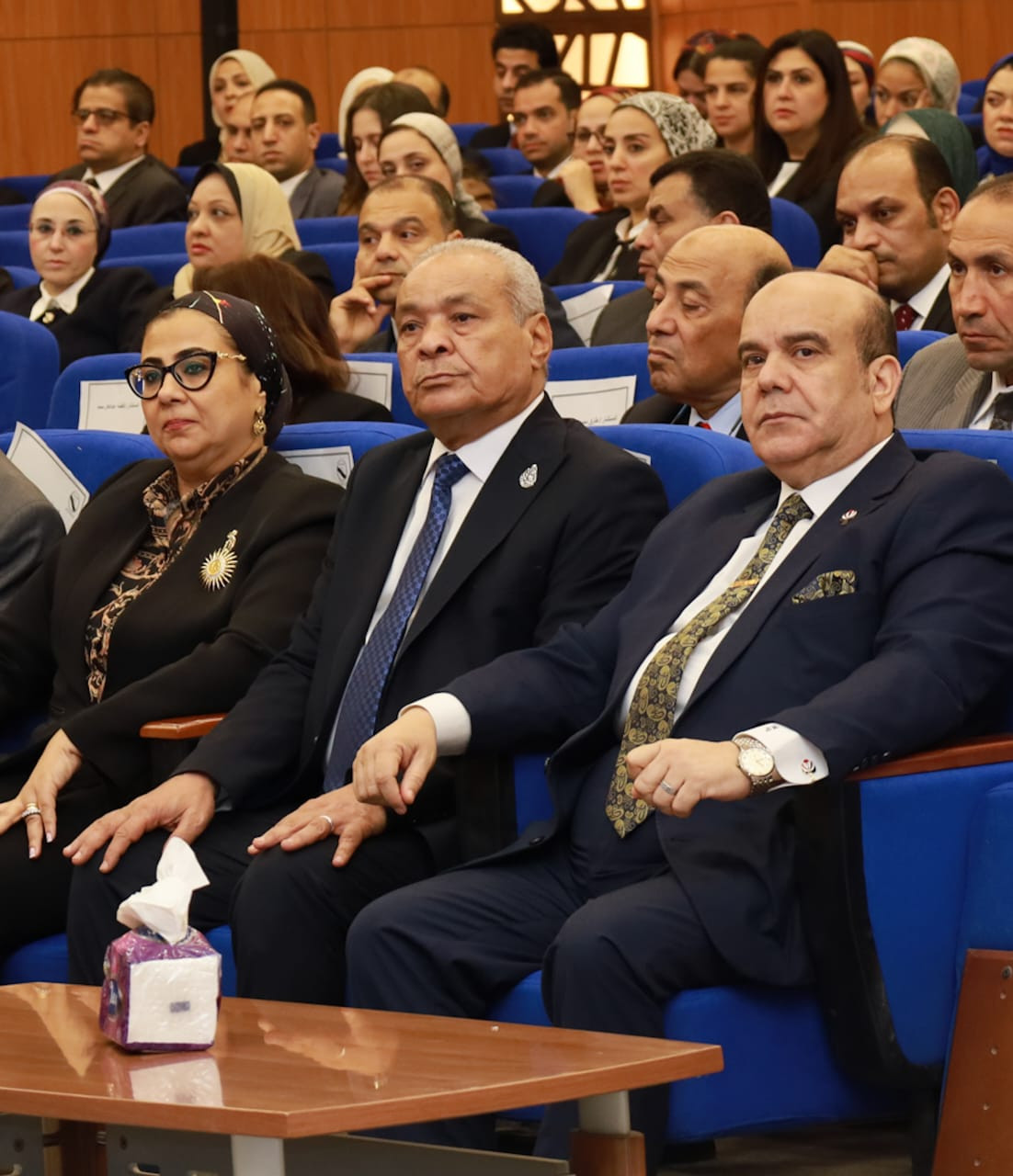 النيابة الادارية